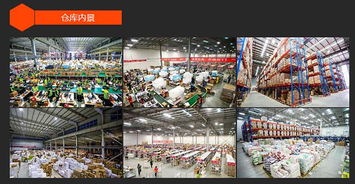 仓储配送公司有哪些？选择时注意这几点，让厂家企业少走弯路